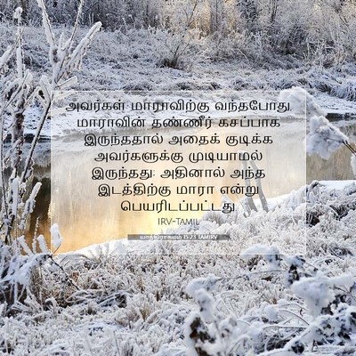 Picture 07 - யாத்திராகமம் 15:23 TAMIRV - அவர்கள் - Bible Verse Picture
