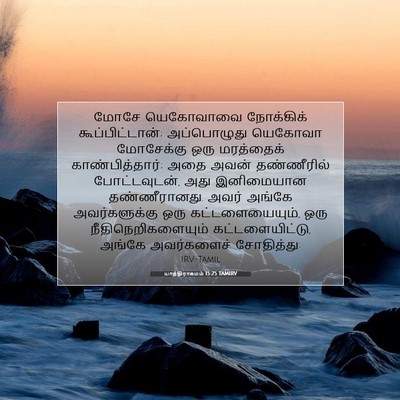 Picture 07 - யாத்திராகமம் 15:25 TAMIRV - மோசே யெகோவாவை - Bible Verse Picture