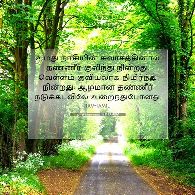 Picture 07 - யாத்திராகமம் 15:8 TAMIRV - உமது நாசியின் - Bible Verse Picture