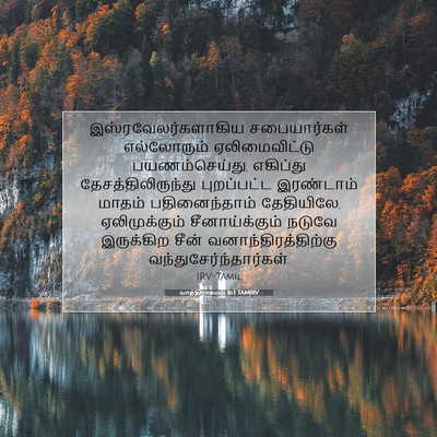 Picture 07 - யாத்திராகமம் 16:1 TAMIRV - இஸ்ரவேலர்களாகிய - Bible Verse Picture