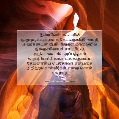 Picture 07 - யாத்திராகமம் 16:12 TAMIRV - “இஸ்ரவேல் - Bible Verse Picture
