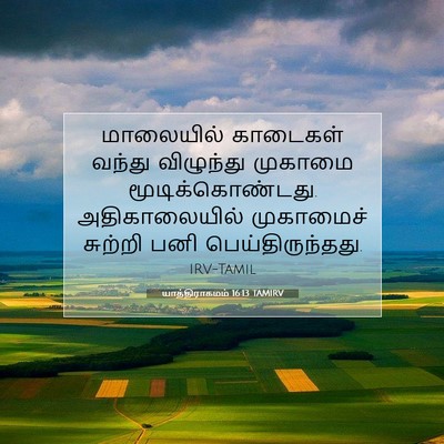 Picture 07 - யாத்திராகமம் 16:13 TAMIRV - மாலையில் காடைகள் - Bible Verse Picture