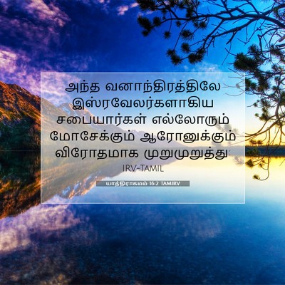 Picture 07 - யாத்திராகமம் 16:2 TAMIRV - அந்த - Bible Verse Picture