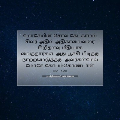 Picture 07 - யாத்திராகமம் 16:20 TAMIRV - மோசேயின் சொல் - Bible Verse Picture