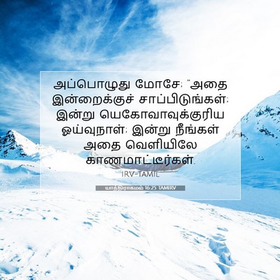 Picture 07 - யாத்திராகமம் 16:25 TAMIRV - அப்பொழுது மோசே; - Bible Verse Picture