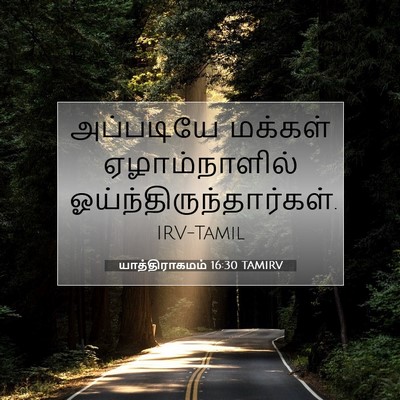 Picture 07 - யாத்திராகமம் 16:30 TAMIRV - அப்படியே மக்கள் - Bible Verse Picture