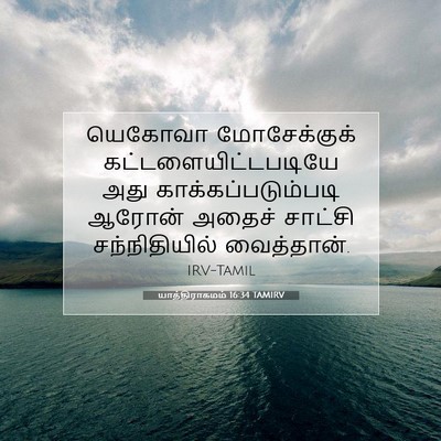 Picture 07 - யாத்திராகமம் 16:34 TAMIRV - யெகோவா மோசேக்குக் - Bible Verse Picture