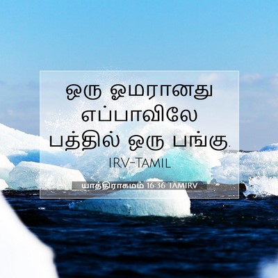 Picture 07 - யாத்திராகமம் 16:36 TAMIRV - ஒரு ஓமரானது - Bible Verse Picture