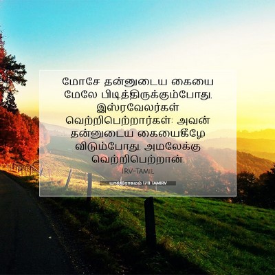 Picture 07 - யாத்திராகமம் 17:11 TAMIRV - மோசே தன்னுடைய - Bible Verse Picture