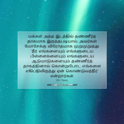 Picture 07 - யாத்திராகமம் 17:3 TAMIRV - மக்கள் அந்த - Bible Verse Picture