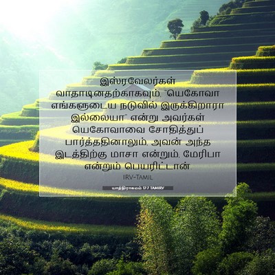 Picture 07 - யாத்திராகமம் 17:7 TAMIRV - இஸ்ரவேலர்கள் - Bible Verse Picture