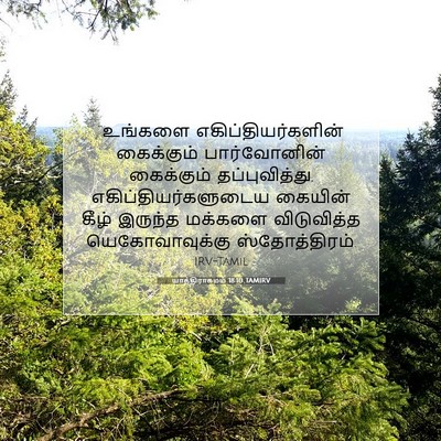 Picture 07 - யாத்திராகமம் 18:10 TAMIRV - “உங்களை - Bible Verse Picture
