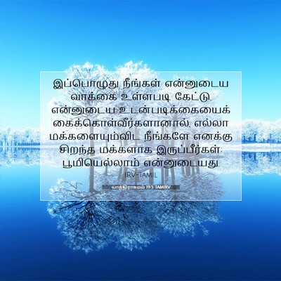 Picture 07 - யாத்திராகமம் 19:5 TAMIRV - இப்பொழுது நீங்கள் - Bible Verse Picture