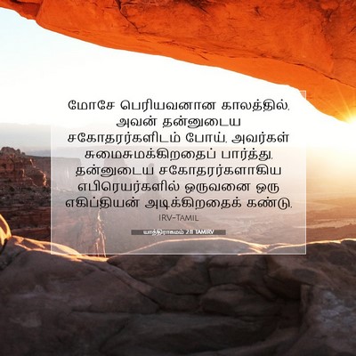 Picture 07 - யாத்திராகமம் 2:11 TAMIRV - மோசே பெரியவனான - Bible Verse Picture