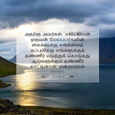 Picture 07 - யாத்திராகமம் 2:19 TAMIRV - அதற்கு அவர்கள்: - Bible Verse Picture