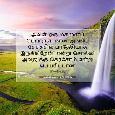 Picture 07 - யாத்திராகமம் 2:22 TAMIRV - அவள் ஒரு மகனைப் - Bible Verse Picture
