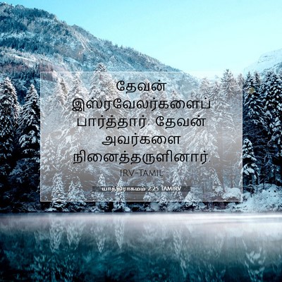 Picture 07 - யாத்திராகமம் 2:25 TAMIRV - தேவன் - Bible Verse Picture