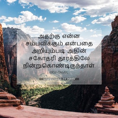 Picture 07 - யாத்திராகமம் 2:4 TAMIRV - அதற்கு என்ன - Bible Verse Picture