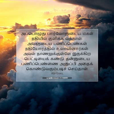 Picture 07 - யாத்திராகமம் 2:5 TAMIRV - அப்பொழுது - Bible Verse Picture