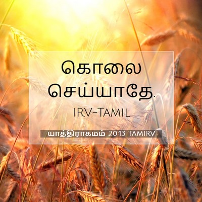 Picture 07 - யாத்திராகமம் 20:13 TAMIRV - கொலை - Bible Verse Picture