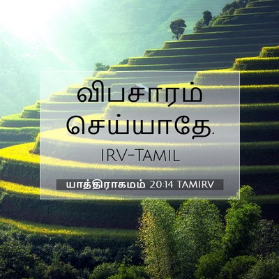 Picture 07 - யாத்திராகமம் 20:14 TAMIRV - விபசாரம் - Bible Verse Picture