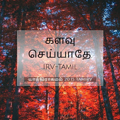Picture 07 - யாத்திராகமம் 20:15 TAMIRV - களவு - Bible Verse Picture