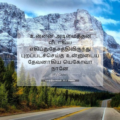 Picture 07 - யாத்திராகமம் 20:2 TAMIRV - “உன்னை அடிமைத்தன - Bible Verse Picture