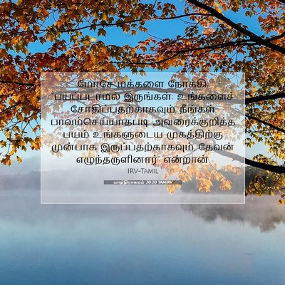 Picture 07 - யாத்திராகமம் 20:20 TAMIRV - மோசே மக்களை - Bible Verse Picture