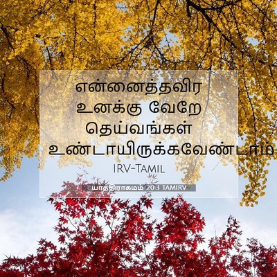 Picture 07 - யாத்திராகமம் 20:3 TAMIRV - என்னைத்தவிர - Bible Verse Picture