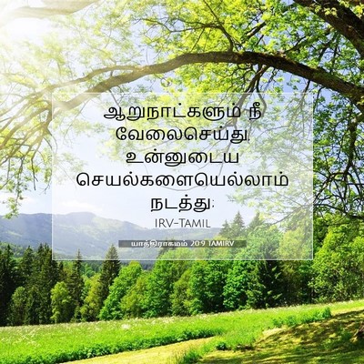 Picture 07 - யாத்திராகமம் 20:9 TAMIRV - ஆறுநாட்களும் நீ - Bible Verse Picture