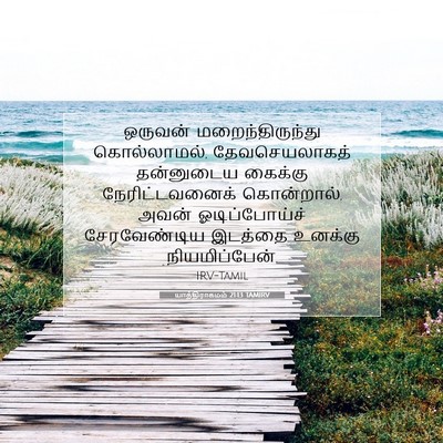 Picture 07 - யாத்திராகமம் 21:13 TAMIRV - ஒருவன் - Bible Verse Picture