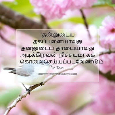 Picture 07 - யாத்திராகமம் 21:15 TAMIRV - “தன்னுடைய - Bible Verse Picture