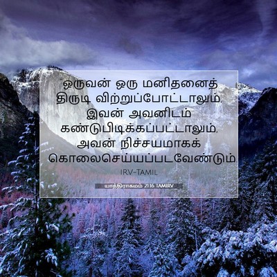 Picture 07 - யாத்திராகமம் 21:16 TAMIRV - “ஒருவன் ஒரு - Bible Verse Picture