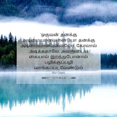 Picture 07 - யாத்திராகமம் 21:20 TAMIRV - “ஒருவன் தனக்கு - Bible Verse Picture