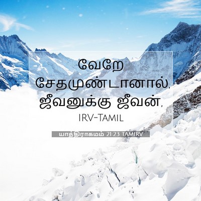 Picture 07 - யாத்திராகமம் 21:23 TAMIRV - வேறே - Bible Verse Picture
