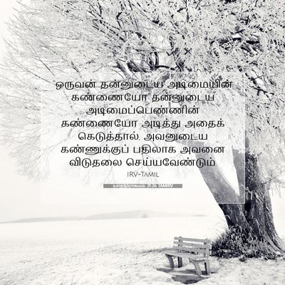 Picture 07 - யாத்திராகமம் 21:26 TAMIRV - “ஒருவன் தன்னுடைய - Bible Verse Picture
