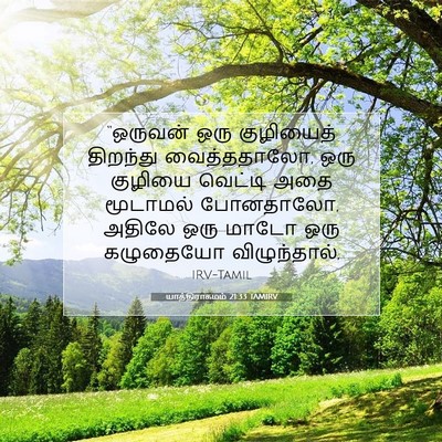 Picture 07 - யாத்திராகமம் 21:33 TAMIRV - “ஒருவன் ஒரு - Bible Verse Picture