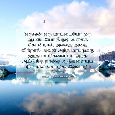 Picture 07 - யாத்திராகமம் 22:1 TAMIRV - “ஒருவன் ஒரு - Bible Verse Picture