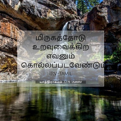 Picture 07 - யாத்திராகமம் 22:19 TAMIRV - மிருகத்தோடு - Bible Verse Picture