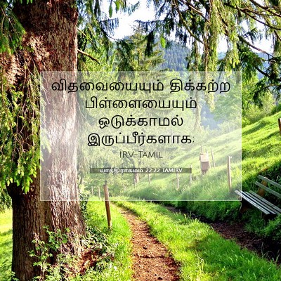 Picture 07 - யாத்திராகமம் 22:22 TAMIRV - விதவையையும் - Bible Verse Picture