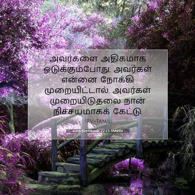 Picture 07 - யாத்திராகமம் 22:23 TAMIRV - அவர்களை அதிகமாக - Bible Verse Picture