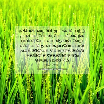 Picture 07 - யாத்திராகமம் 22:6 TAMIRV - அக்கினி எழும்பி, - Bible Verse Picture