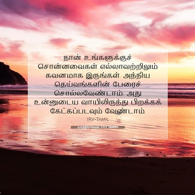 Picture 07 - யாத்திராகமம் 23:13 TAMIRV - நான் உங்களுக்குச் - Bible Verse Picture
