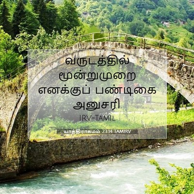 Picture 07 - யாத்திராகமம் 23:14 TAMIRV - வருடத்தில் - Bible Verse Picture