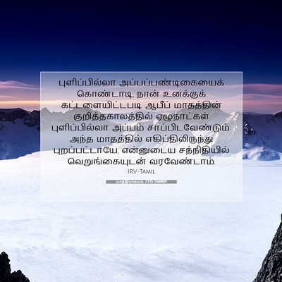 Picture 07 - யாத்திராகமம் 23:15 TAMIRV - புளிப்பில்லா - Bible Verse Picture