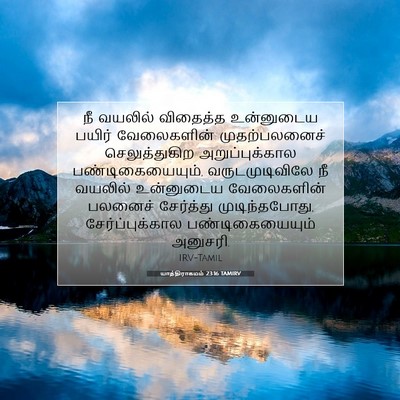 Picture 07 - யாத்திராகமம் 23:16 TAMIRV - நீ வயலில் விதைத்த - Bible Verse Picture