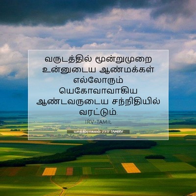Picture 07 - யாத்திராகமம் 23:17 TAMIRV - வருடத்தில் - Bible Verse Picture