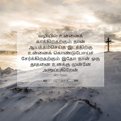 Picture 07 - யாத்திராகமம் 23:20 TAMIRV - வழியில் உன்னைக் - Bible Verse Picture
