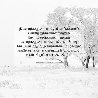 Picture 07 - யாத்திராகமம் 23:24 TAMIRV - நீ அவர்களுடைய - Bible Verse Picture