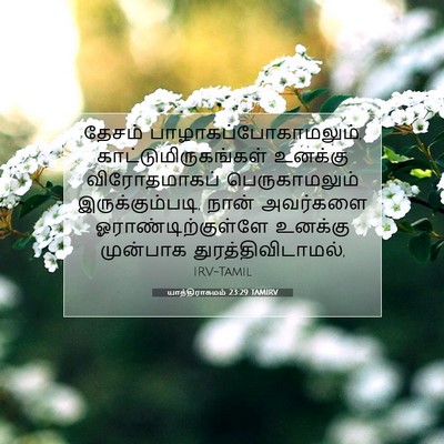 Picture 07 - யாத்திராகமம் 23:29 TAMIRV - தேசம் - Bible Verse Picture